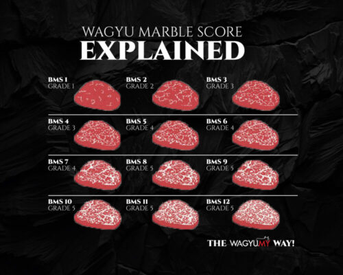 KAGOSHIMA WAGYU